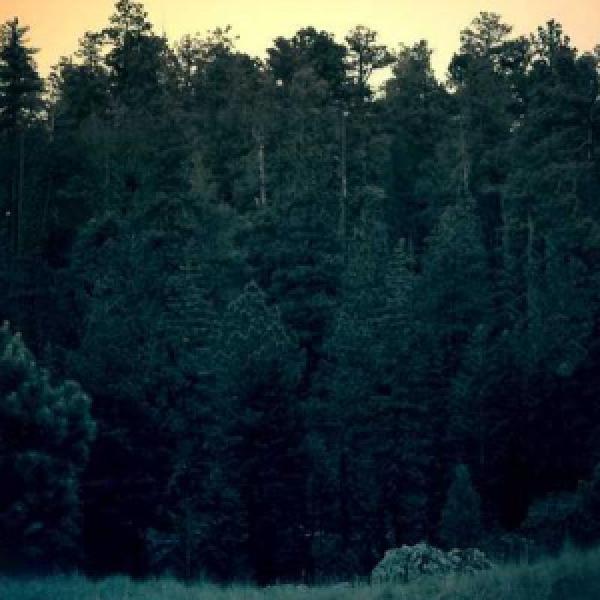 incidunt consectetur qui