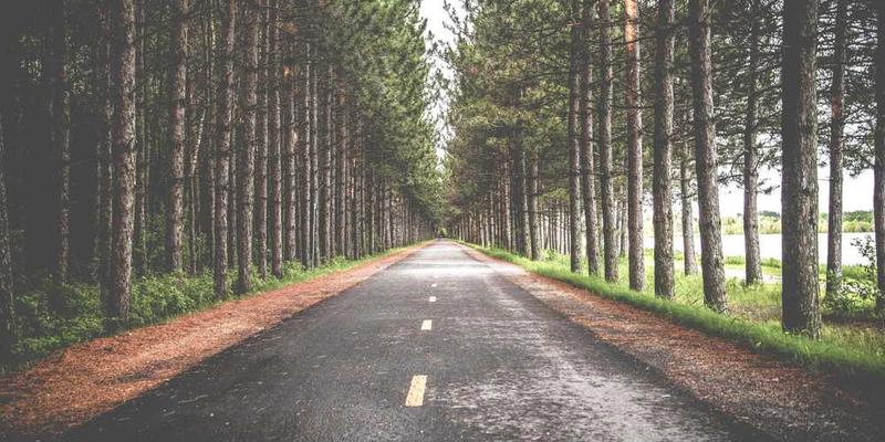 assumenda mollitia aspernatur cover