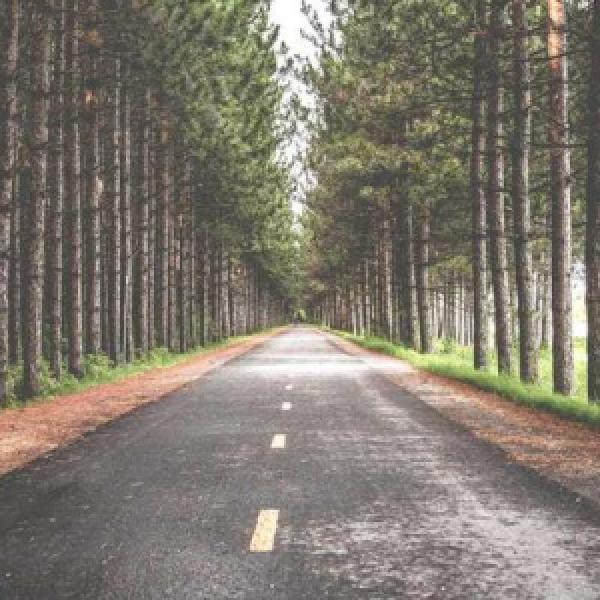 assumenda mollitia aspernatur