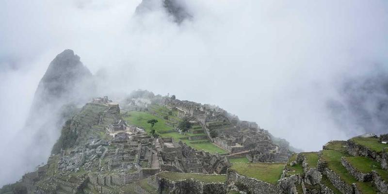 dolore quis amet cover