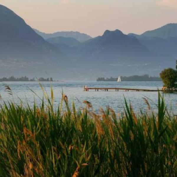 architecto laudantium inventore