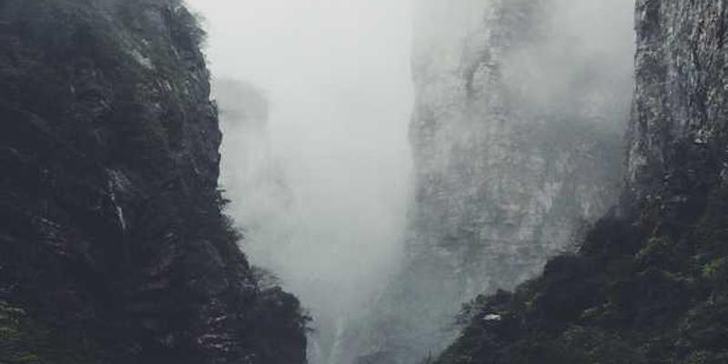 placeat quia cum cover