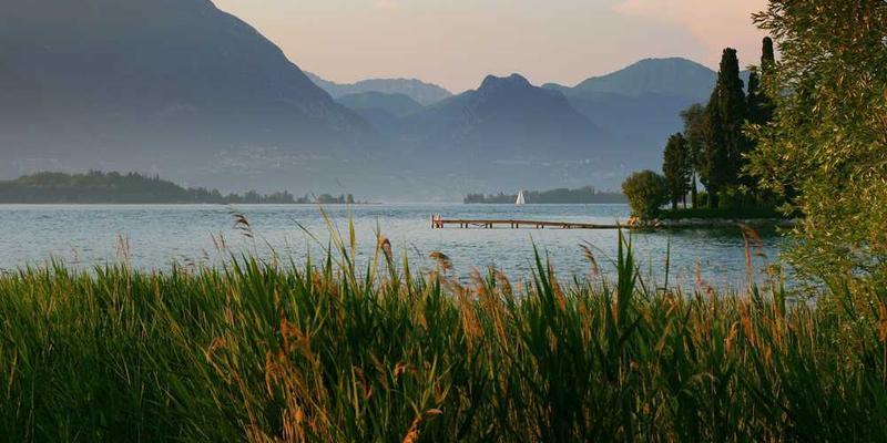 minima temporibus eos cover