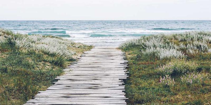 magni repellendus doloribus cover