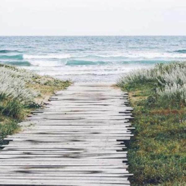 magni repellendus doloribus