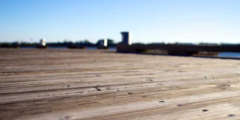 mollitia voluptas et cover