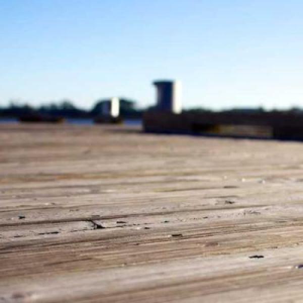 mollitia voluptas et