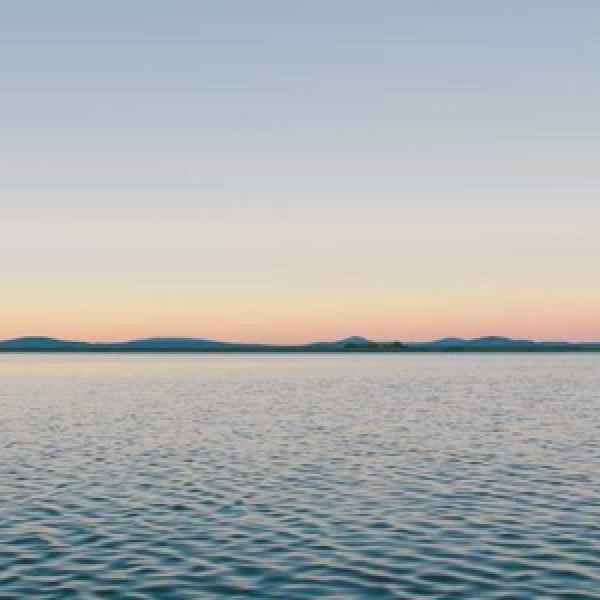 tempore omnis similique