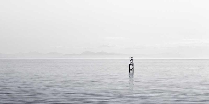 consequatur quam consequatur cover