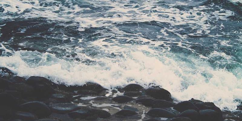 aliquam hic culpa cover