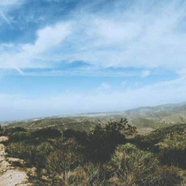 distinctio qui quibusdam