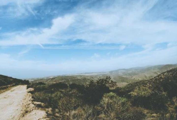 distinctio qui quibusdam