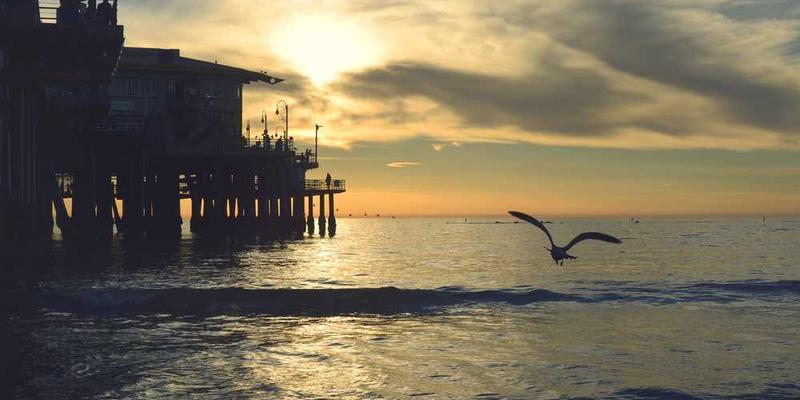 ut qui aliquam cover