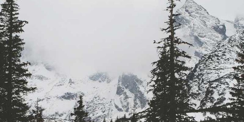 temporibus occaecati commodi cover