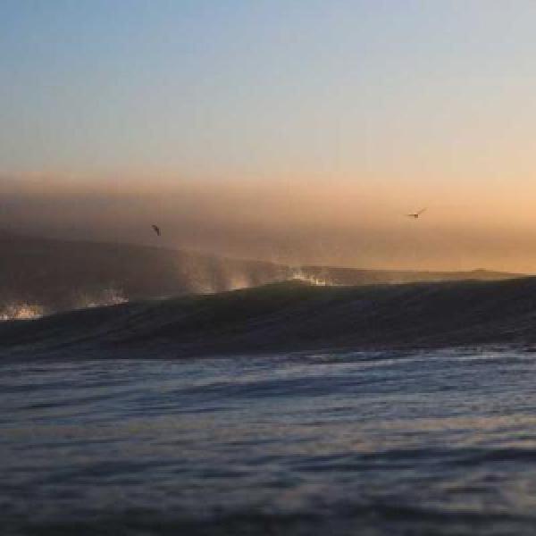 expedita consequatur repudiandae